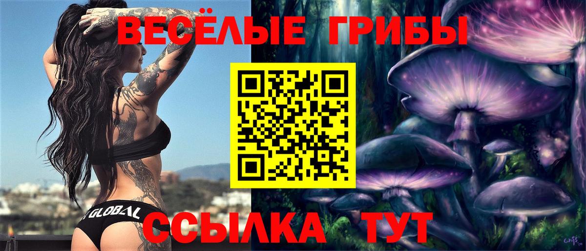 Галлюциногенные грибы мицелий Мыски