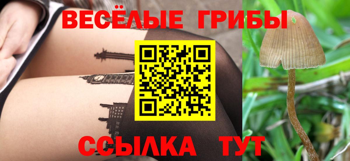 Галлюциногенные грибы Magic Shrooms  Галлюциногенные грибы ЛСД  Вход с VPN  Мыски 